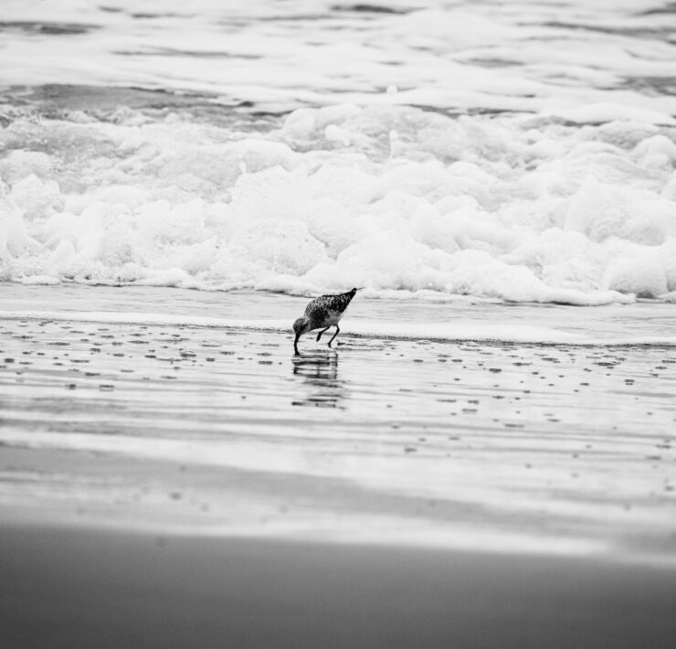 Observation 4