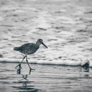 Observation 6