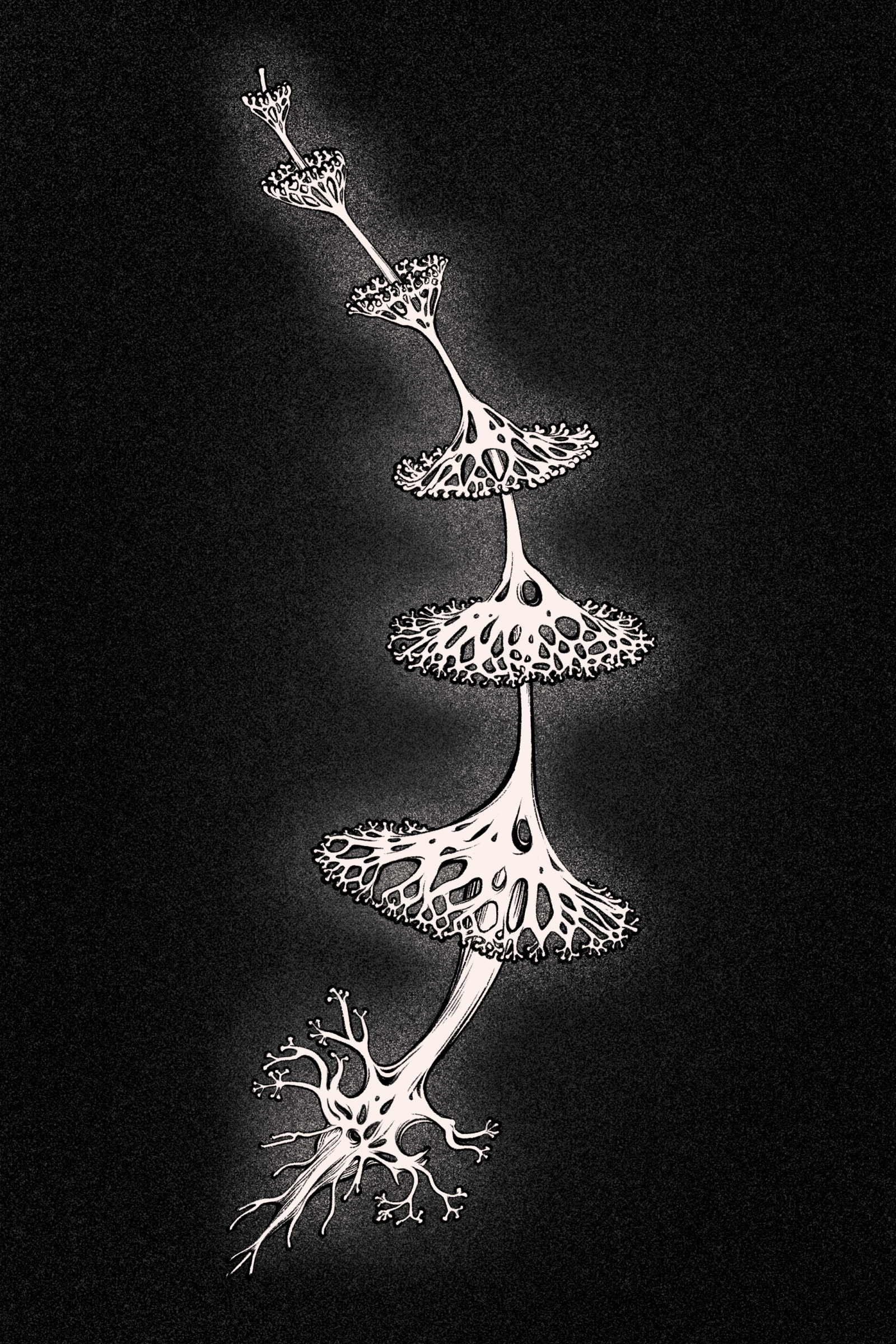 Lichen