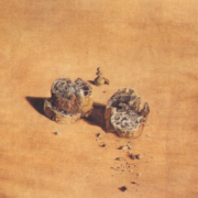 Two Pieces of Bread Expressing the Sentiment of Love