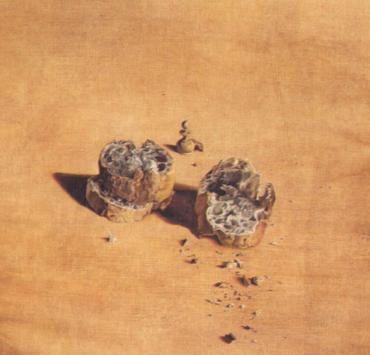 Two Pieces of Bread Expressing the Sentiment of Love