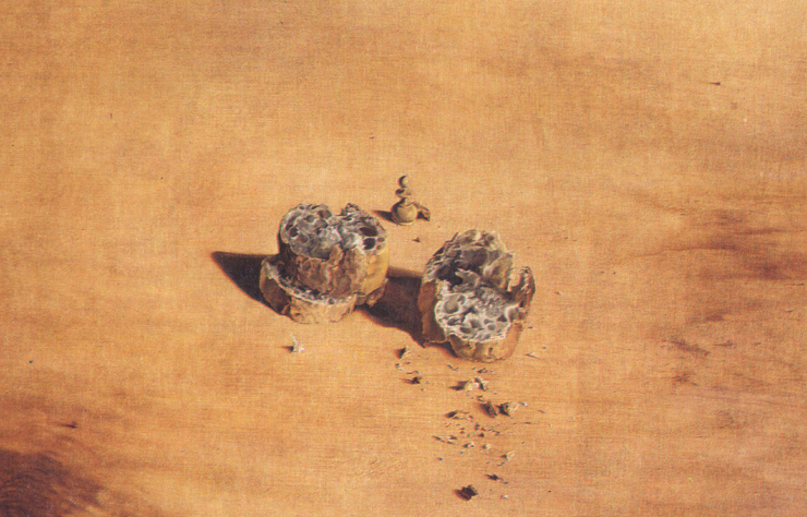 Two Pieces of Bread Expressing the Sentiment of Love