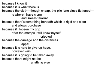 because I know it
because it is what there is
because the cloth—though cheap, the pile long since flattened—
	is where I have clung
		and smells familiar
because there’s something beneath which is rigid and clear
	and allows purchase
because if I loosen my grip
	after the cramps I will know myself
				crippled
because the damage and the distances
		appal
because it is hard to give up hope,
	however vain
because it is going to be taken away
because there might not be
			anything else
