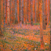Fir Forest I