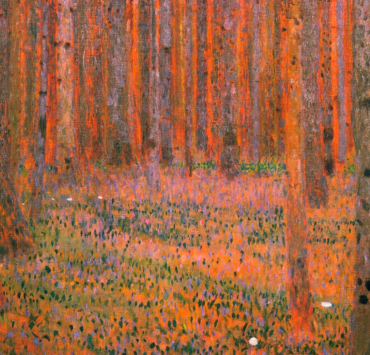 Fir Forest I