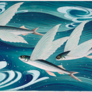Flying Fish