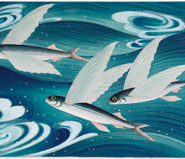 Flying Fish
