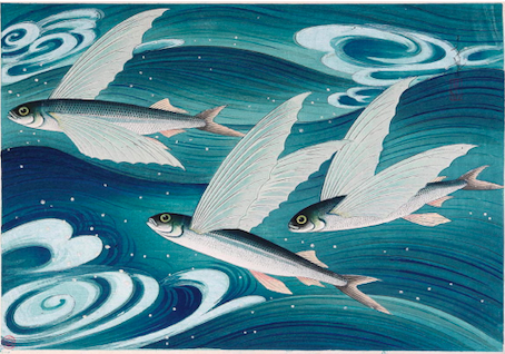 Flying Fish