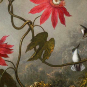 Passion Flowers With Hummingbirds
