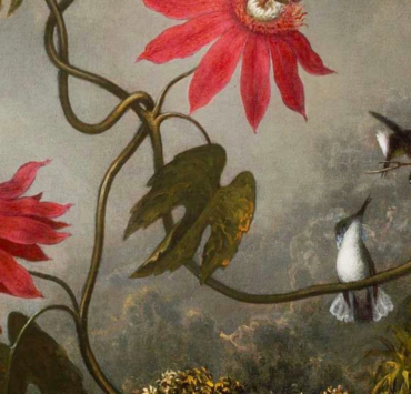 Passion Flowers With Hummingbirds