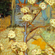 Pear Tree In Blossom