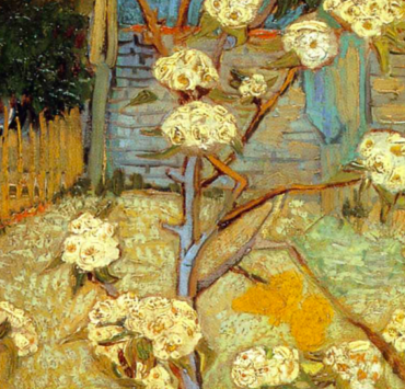 Pear Tree In Blossom