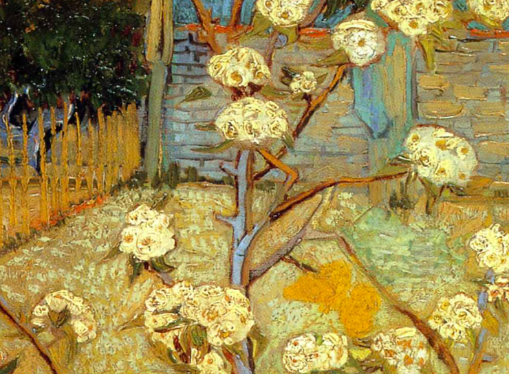 Pear Tree In Blossom