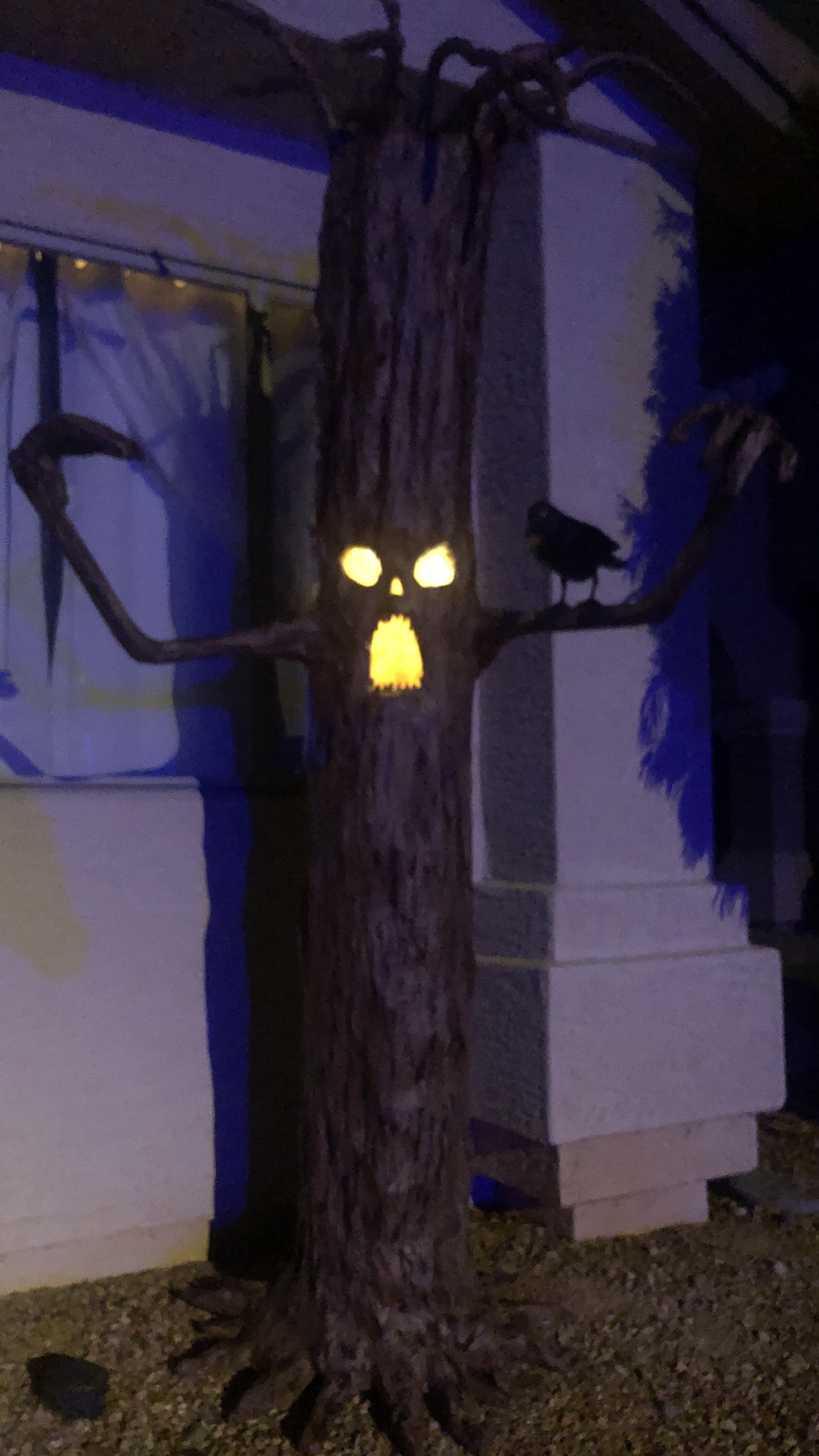Haunted tree Halloween decoration with glowing eyes and mouth